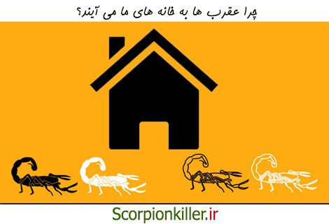 چرا عقرب ها به خانه جذب می شوند؟