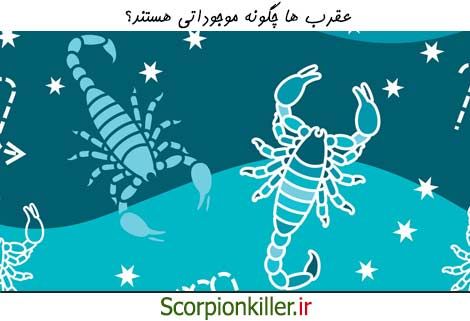 آشنایی با عقرب ها