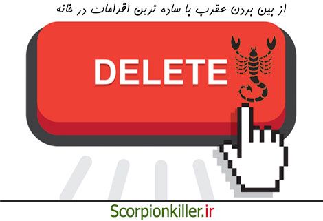 روش های ساده برای از بین بردن عقرب ها