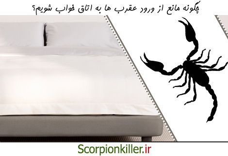 چگونه از ورود عقرب به خانه پیشگیری کنیم؟
