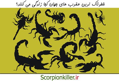 عقرب های خطرناک جهان