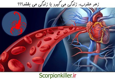زهر عقرب زندگی می بخشد یا زندگی می گیرد