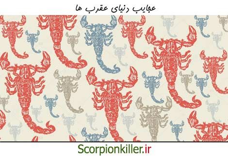 عجایبی در مورد عقرب ها