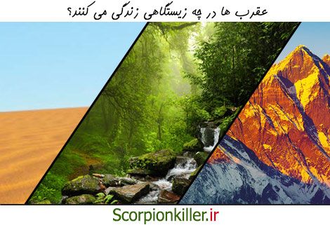 زیستگاه عقرب ها کجاست؟