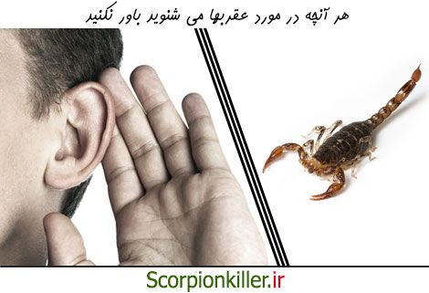 هر چه در مورد عقربها می شنوید باور نکنید